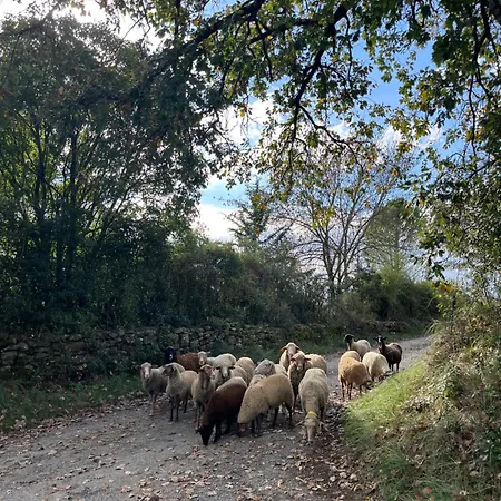 بيت للعطل Mas Des Magnarelles / Uzes / Cevennes *